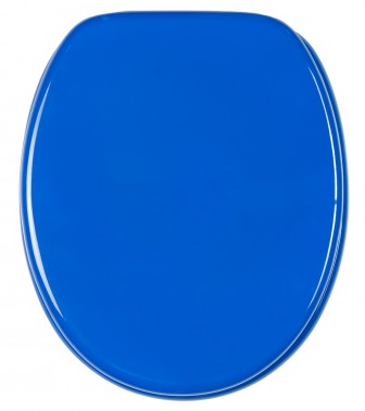 Soft Close Toilet Seat Blue