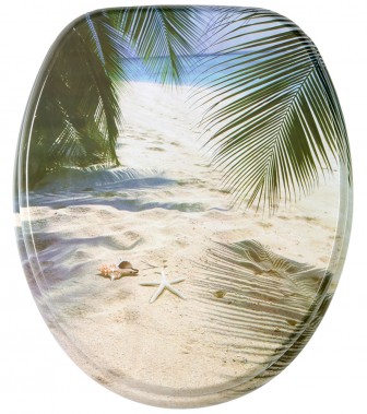 Toilet Seat Beach