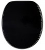 Toilet Seat Black