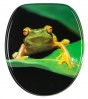 Toilet Seat Green Frog