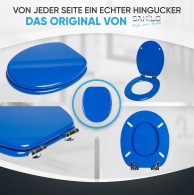 Soft Close Toilet Seat Blue