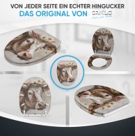 Soft Close Toilet Seat Harmony