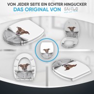 WC-Sitz mit Absenkautomatik und Schnellverschluss Newspaper - Premium Toilettendeckel direkt vom Hersteller