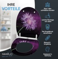 WC-Sitz mit Absenkautomatik und Schnellverschluss Purple Dust - Premium Toilettendeckel direkt vom Hersteller
