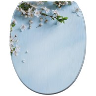 Soft Close Toilet Seat Harmony
