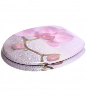 WC-Sitz Blooming - Premium Toilettendeckel direkt vom Hersteller