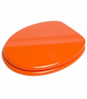 Toilet Seat Orange