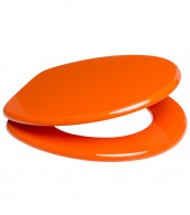 Toilet Seat Orange